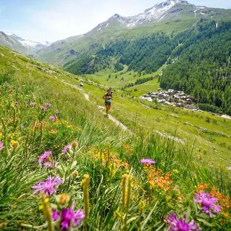 Mazot Loppe - A Cosy Hideaway * Chamonix